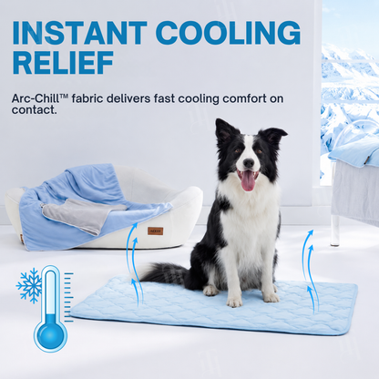 AEXZR® Advanced Ortho-Cool Pet Mat | Thermochromic Safe Cooling Pad🐾 Instant cooling. Zero worry. Just chill.
