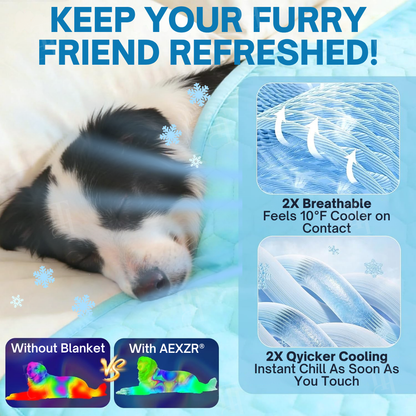 AEXZR® Advanced Ortho-Cool Pet Mat | Thermochromic Safe Cooling Pad🐾 Instant cooling. Zero worry. Just chill.
