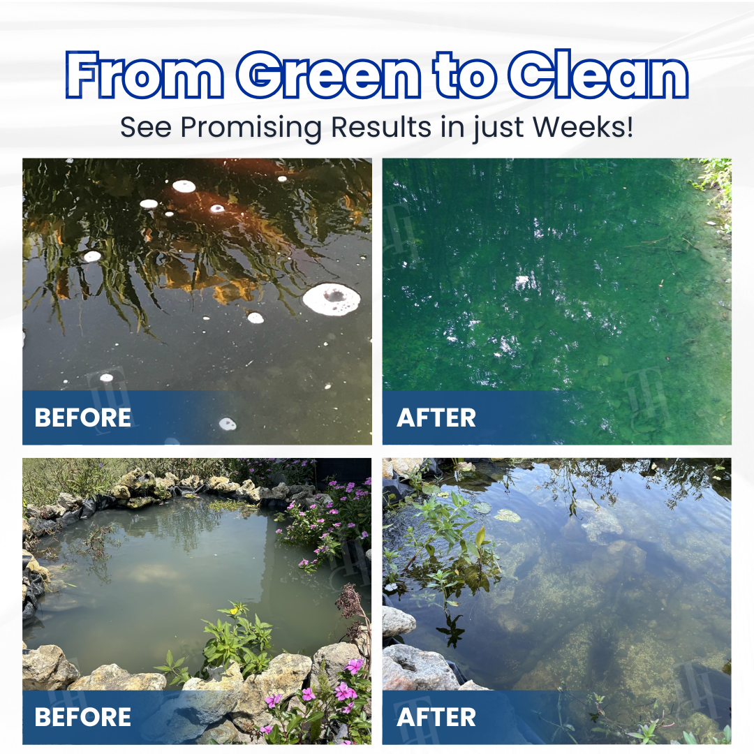 AEXZR® Aqua-Guardian Pro Formula🐟 ✨ From Green to Clean Overnight! |⏱️ Crystal Clear in 24 Hours! |