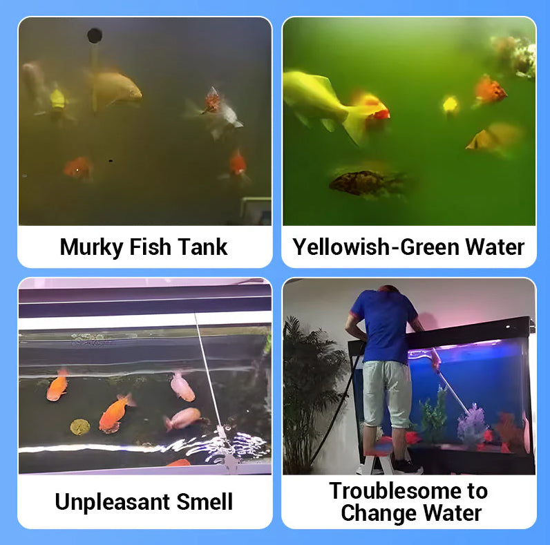 🎉2026 HOT SALE 50% OFF! 🎉AEXZR™ Powerful Aquarium Water Purification Tablet