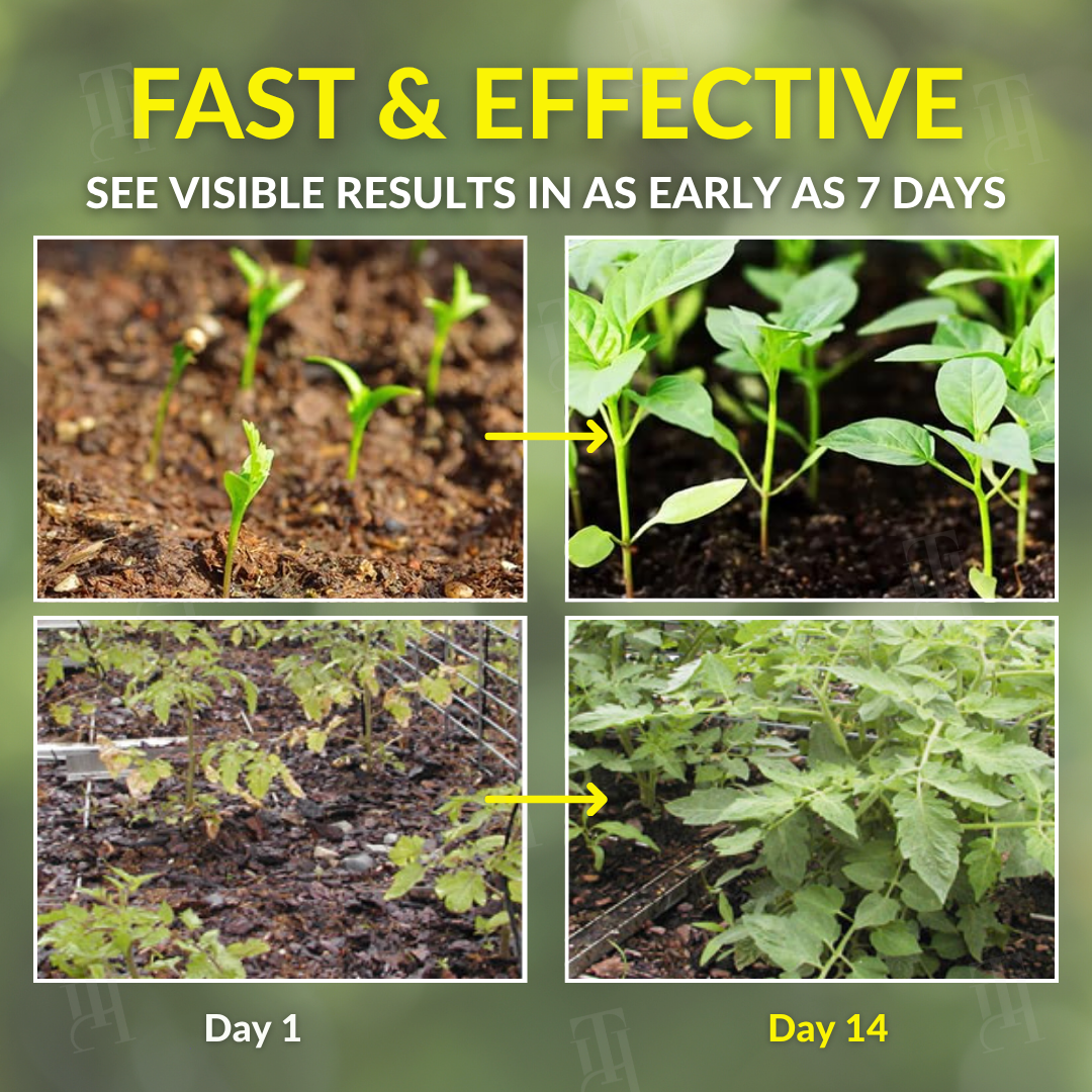 AEXZR® 2 in 1 Vita-Enzyme Solution⚡ Results in 6 Hours, Not Months.