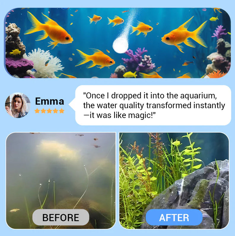 🎉2026 HOT SALE 50% OFF! 🎉AEXZR™ Powerful Aquarium Water Purification Tablet