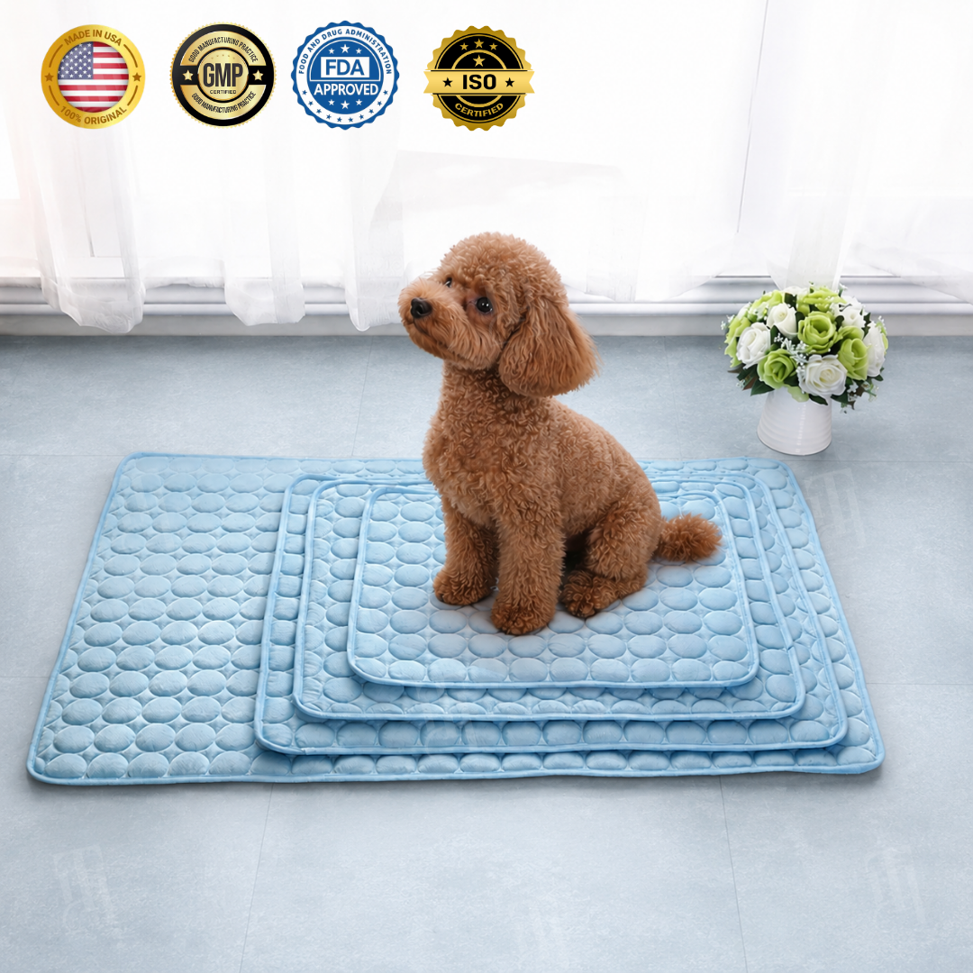 AEXZR® Advanced Ortho-Cool Pet Mat | Thermochromic Safe Cooling Pad🐾 Instant cooling. Zero worry. Just chill.