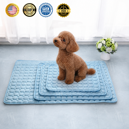 AEXZR® Advanced Ortho-Cool Pet Mat | Thermochromic Safe Cooling Pad🐾 Instant cooling. Zero worry. Just chill.