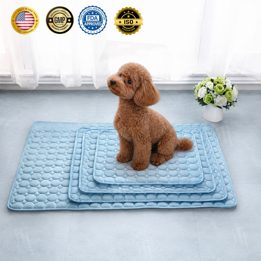 AEXZR® Advanced Ortho-Cool Pet Mat | Thermochromic Safe Cooling Pad🐾 Instant cooling. Zero worry. Just chill.
