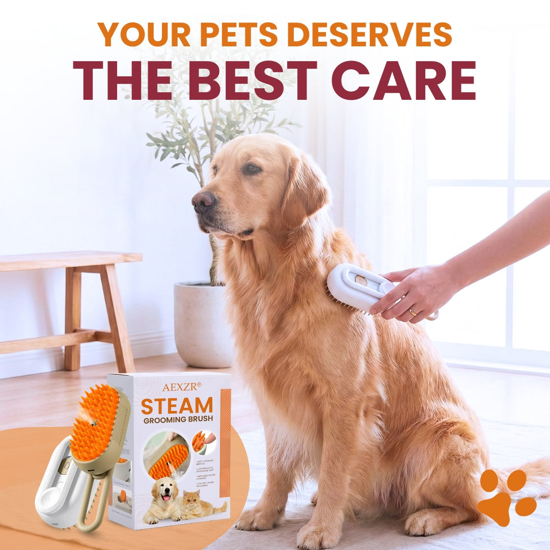 AEXZR® Steam Grooming Brush