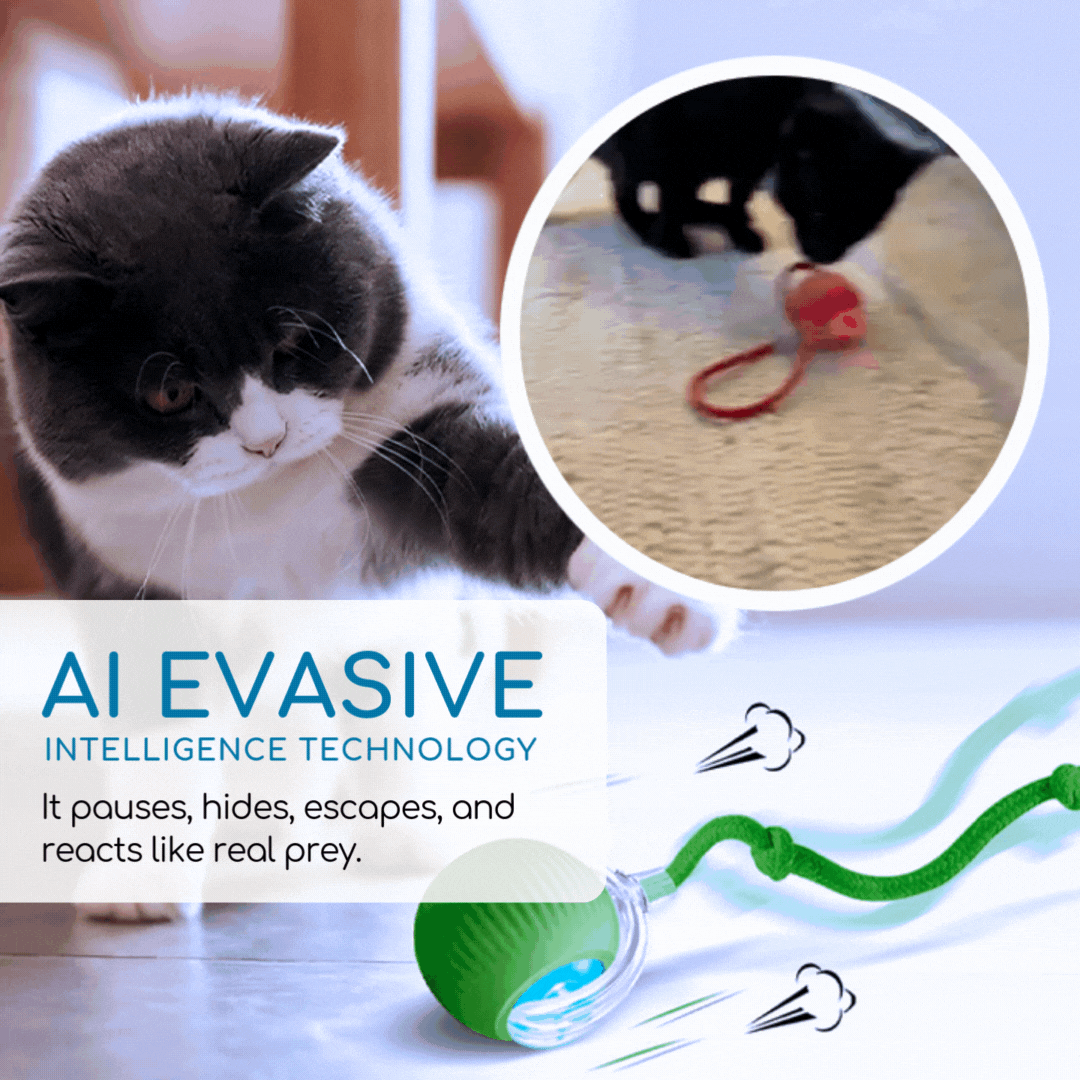 AEXZR® Smart Bionic Prey Ball👇 No More Guilt – Your Cat Stays Happy & Hunt-Driven All Day